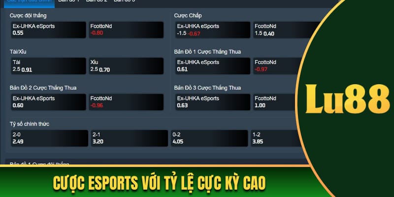 Cược esports với tỷ lệ cực kỳ cao